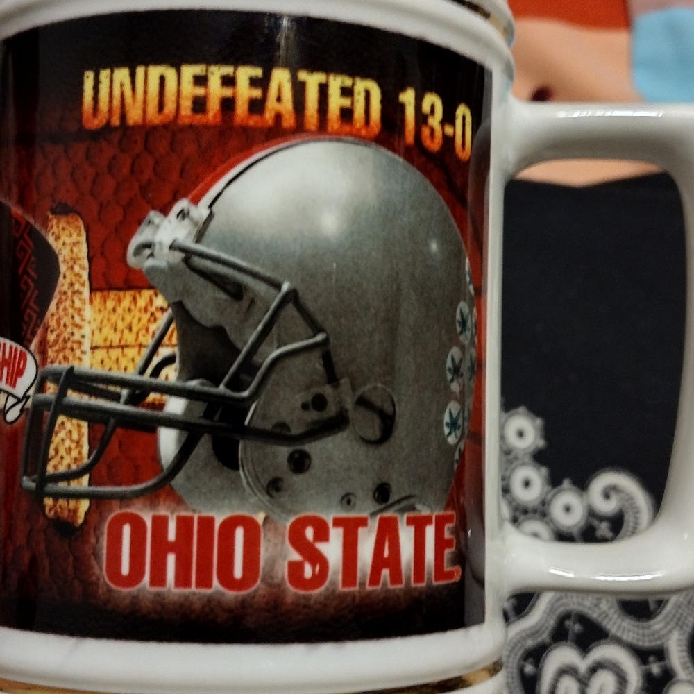 Vintage Ohio State Collector's Mug